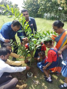 Tree Plantation on Sep 14, 2018